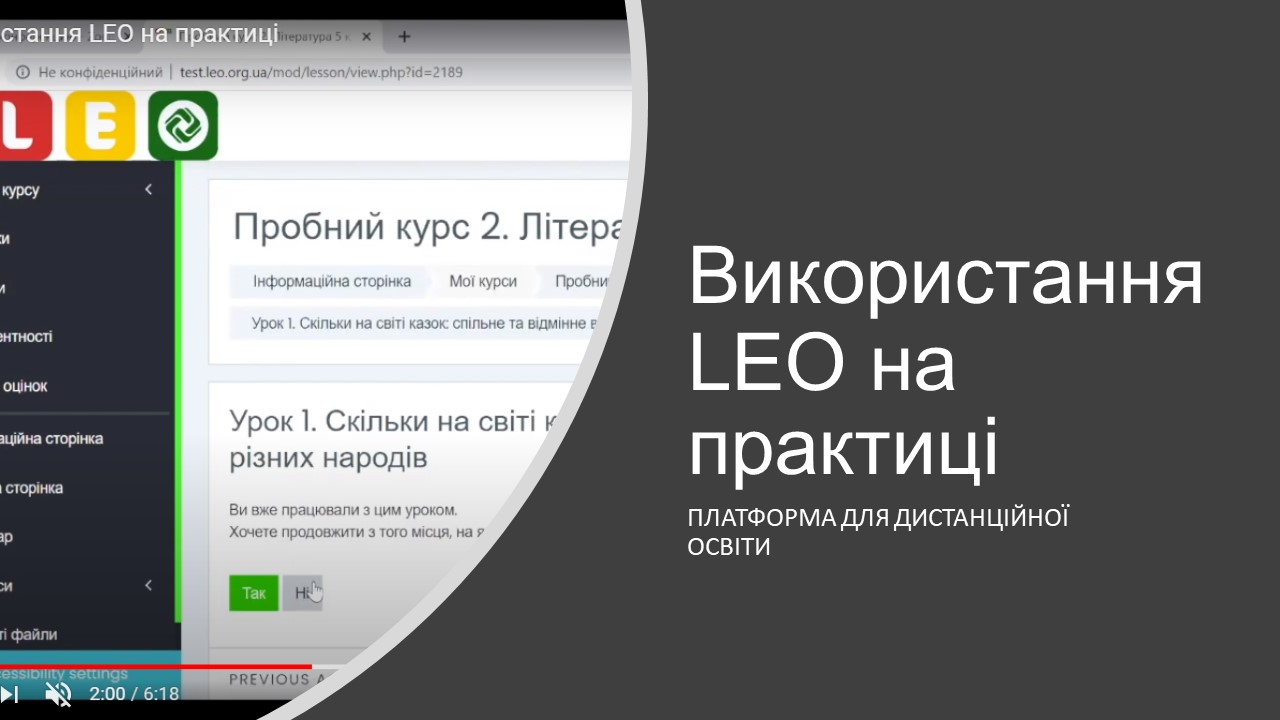 Використання LEO на практиці